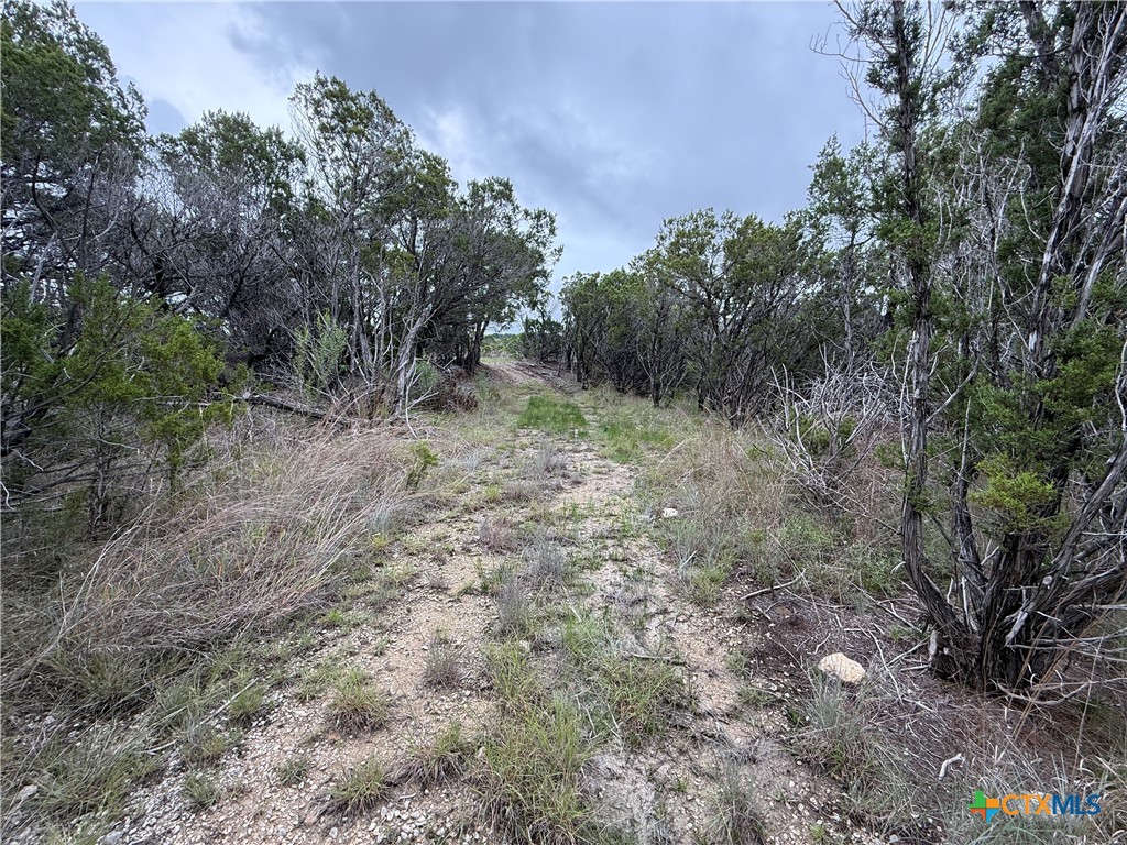 main property photo 25