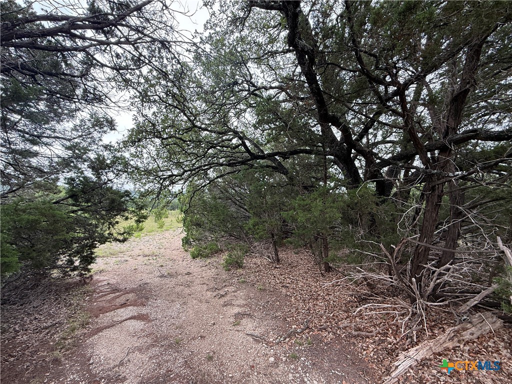 main property photo 32