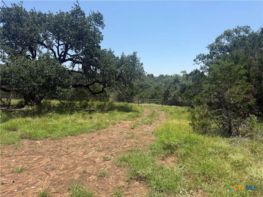 main property photo 29