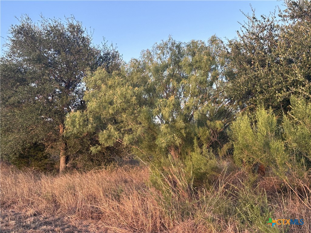 main property photo 39