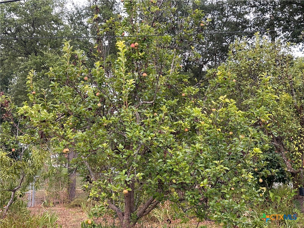 main property photo 32