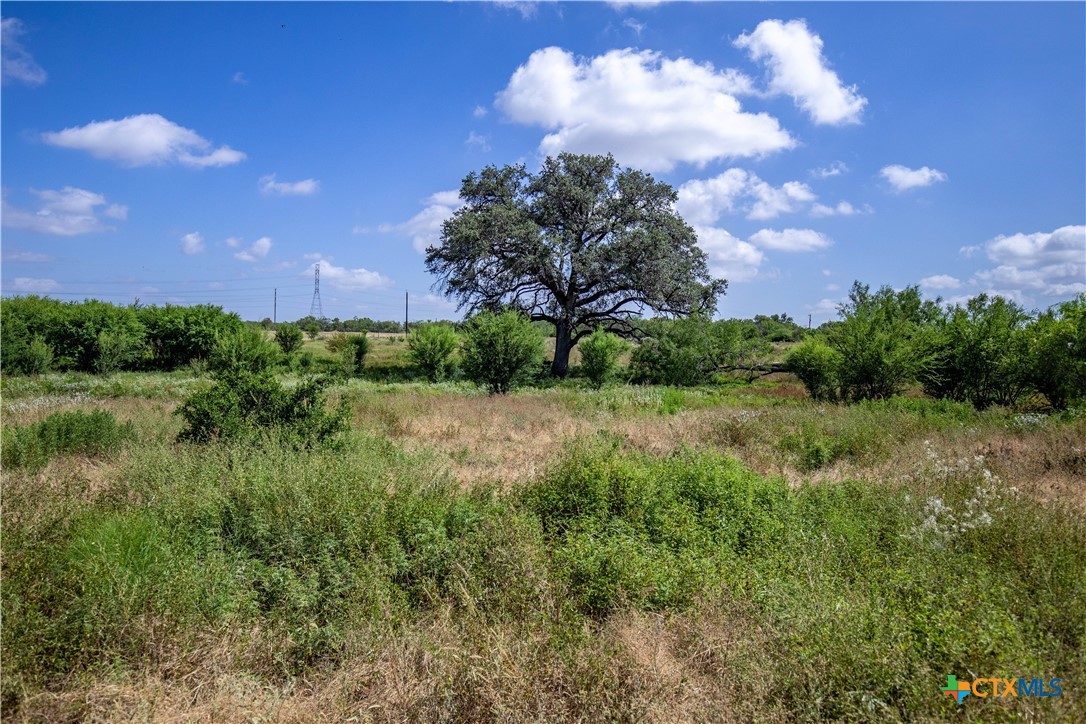 main property photo 36