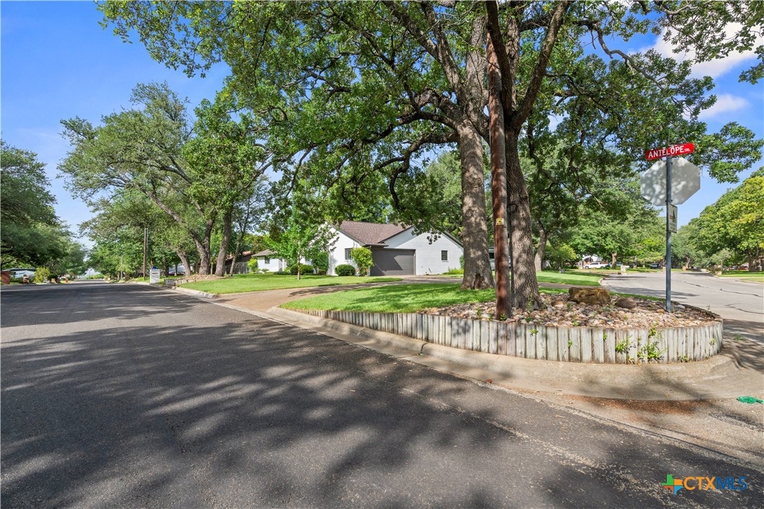 main property photo 39