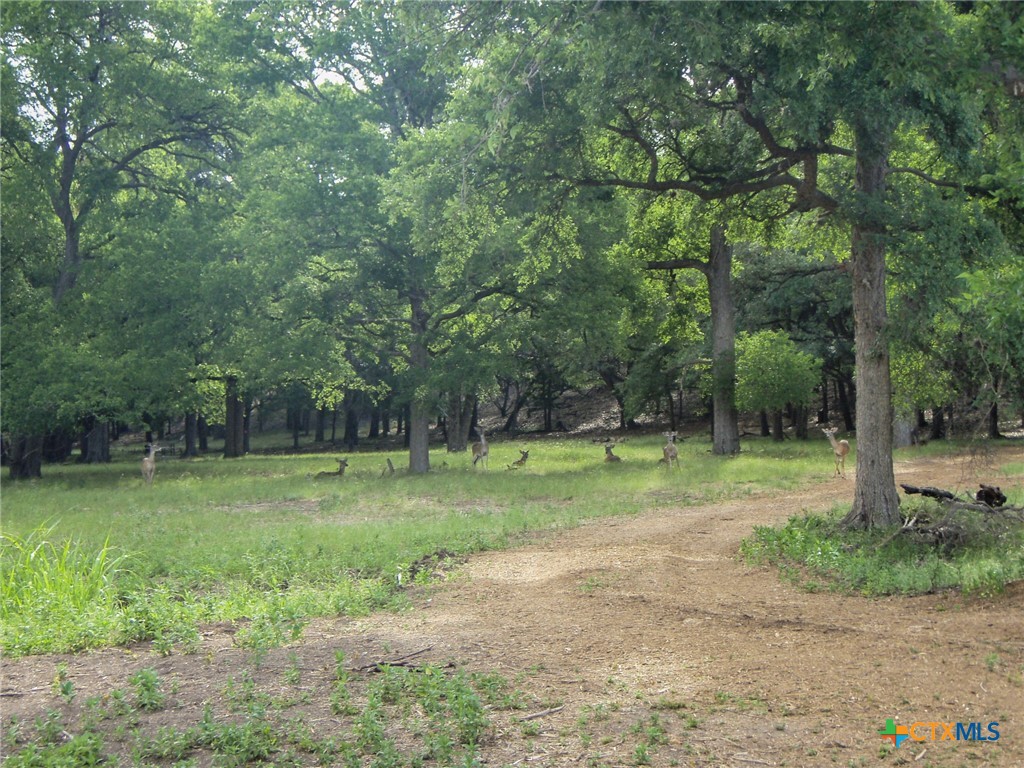 main property photo 16
