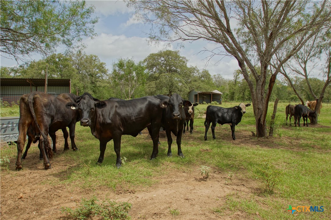 main property photo 16