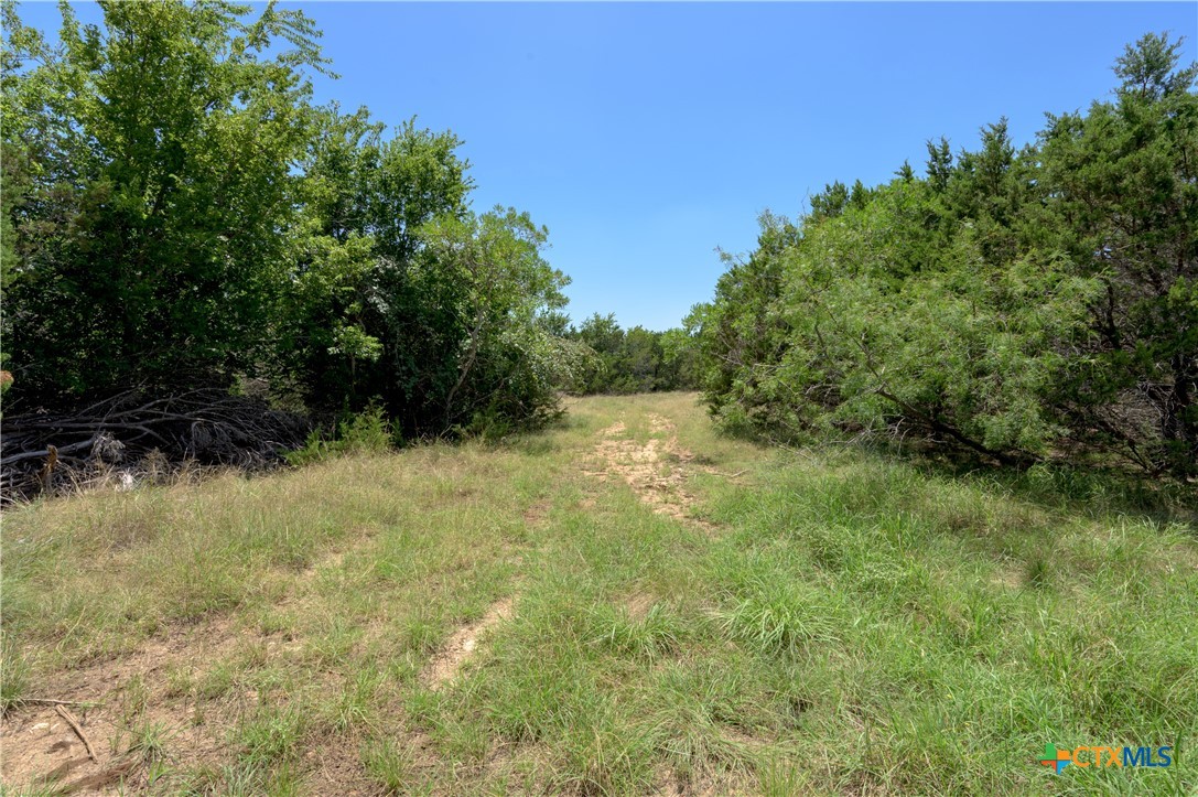 main property photo 39