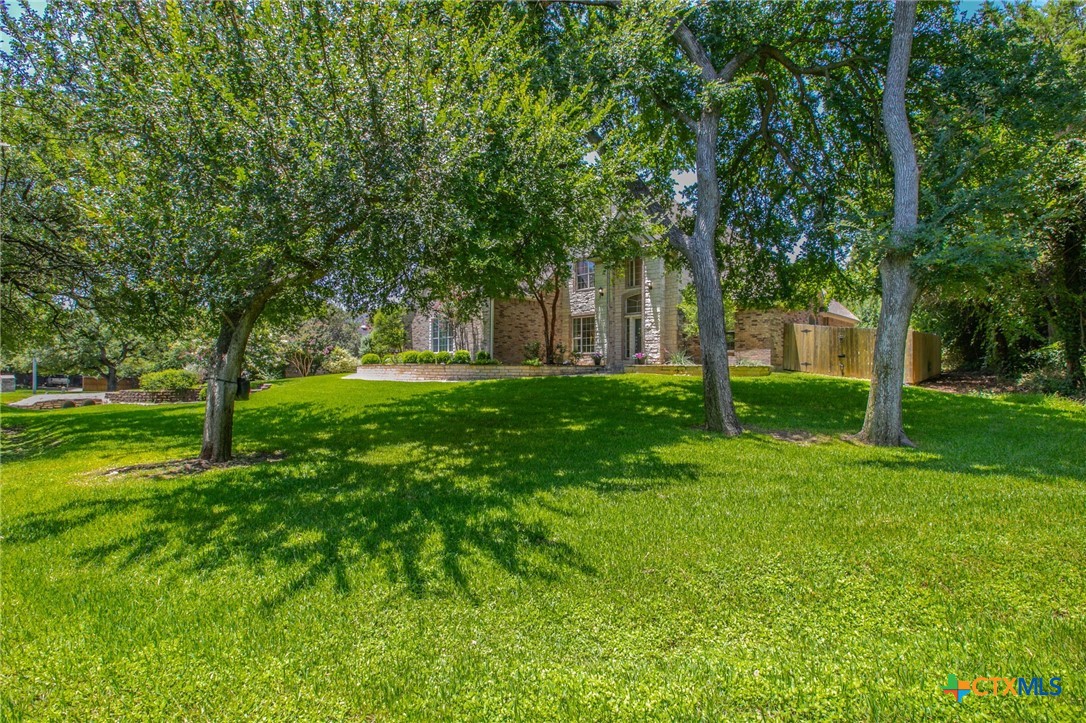 main property photo 39