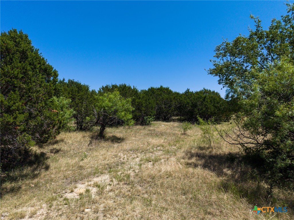 main property photo 38