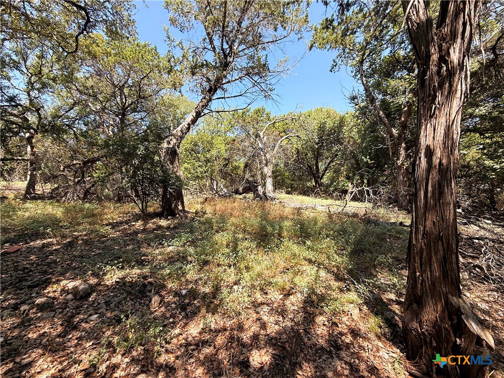 main property photo 25