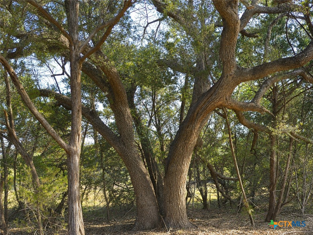 main property photo 18