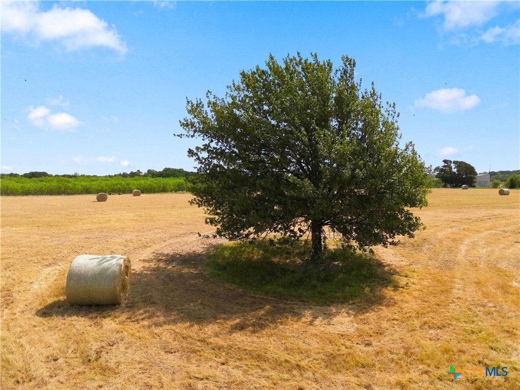 main property photo 10