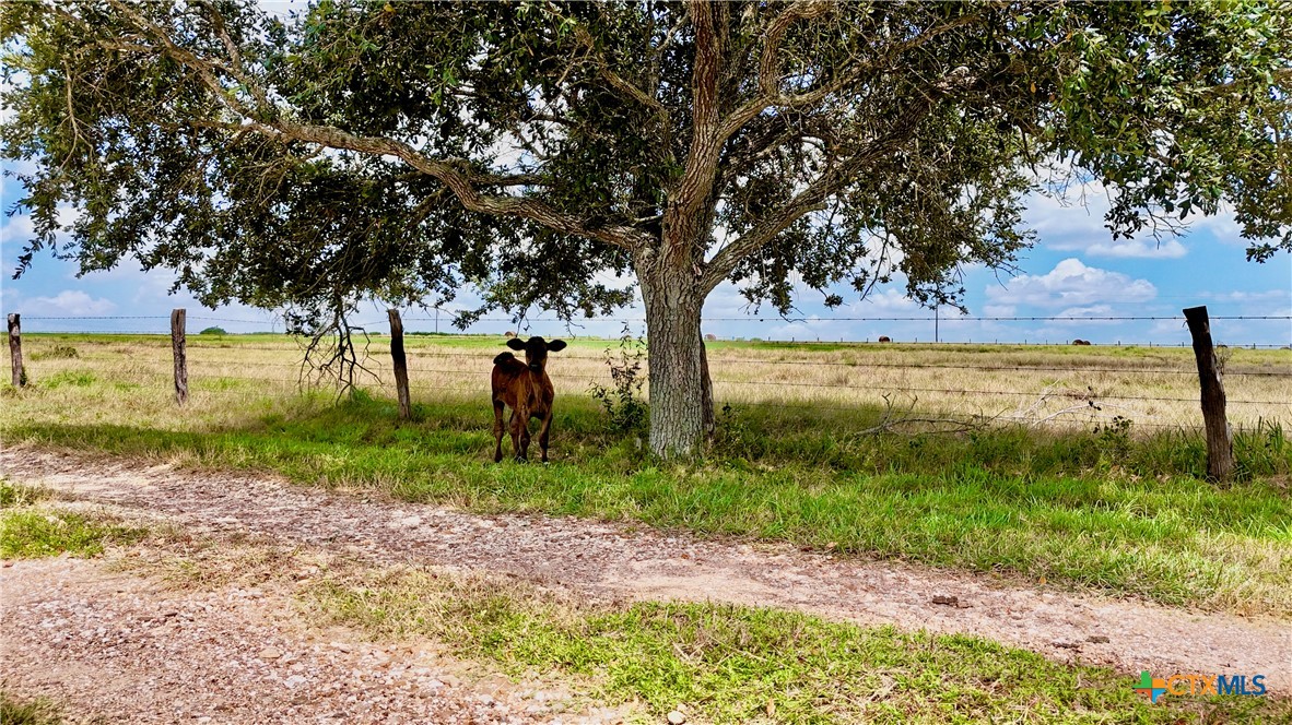 main property photo 42