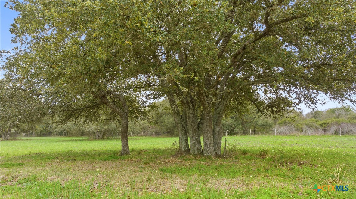 main property photo 35