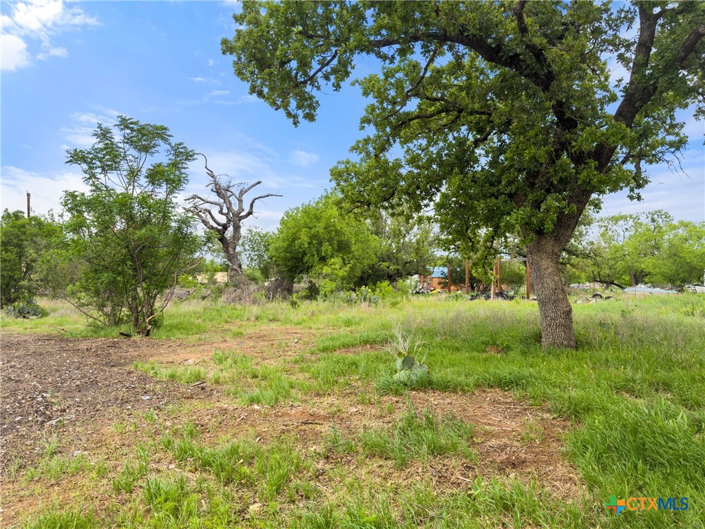 main property photo 9
