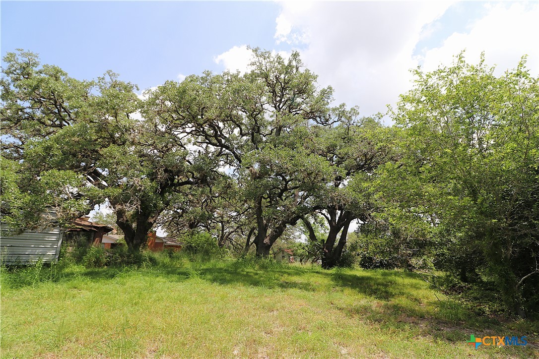 main property photo 38
