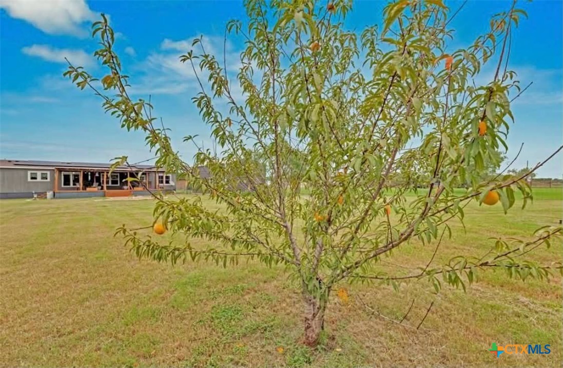 main property photo 29