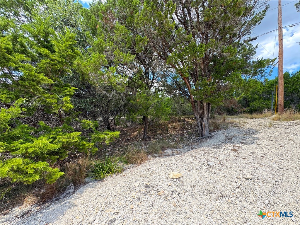 main property photo 11