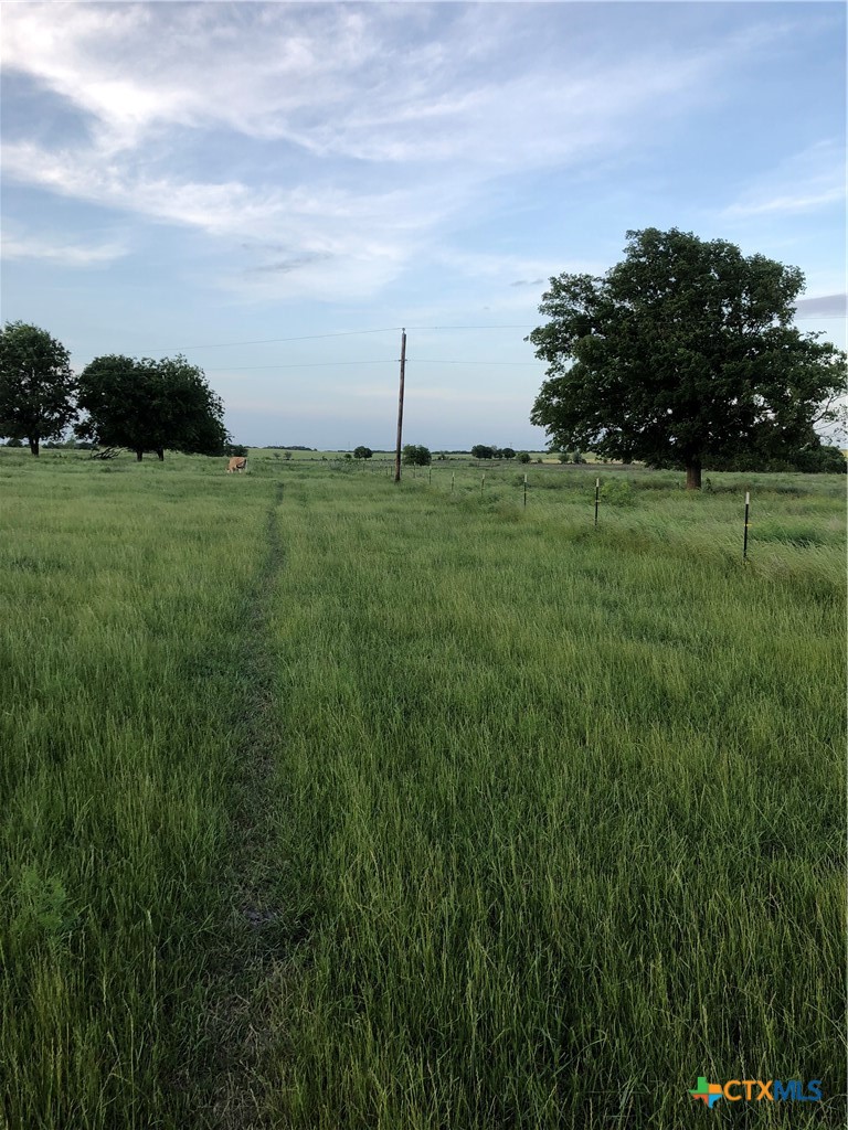 main property photo 39