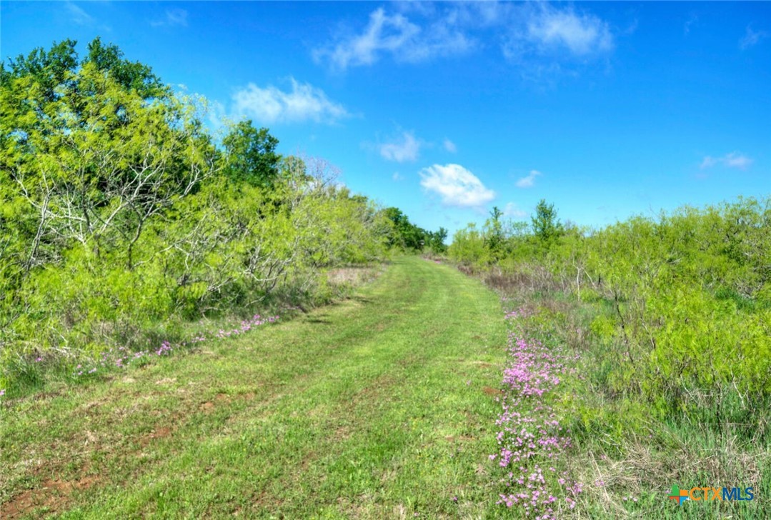 main property photo 25