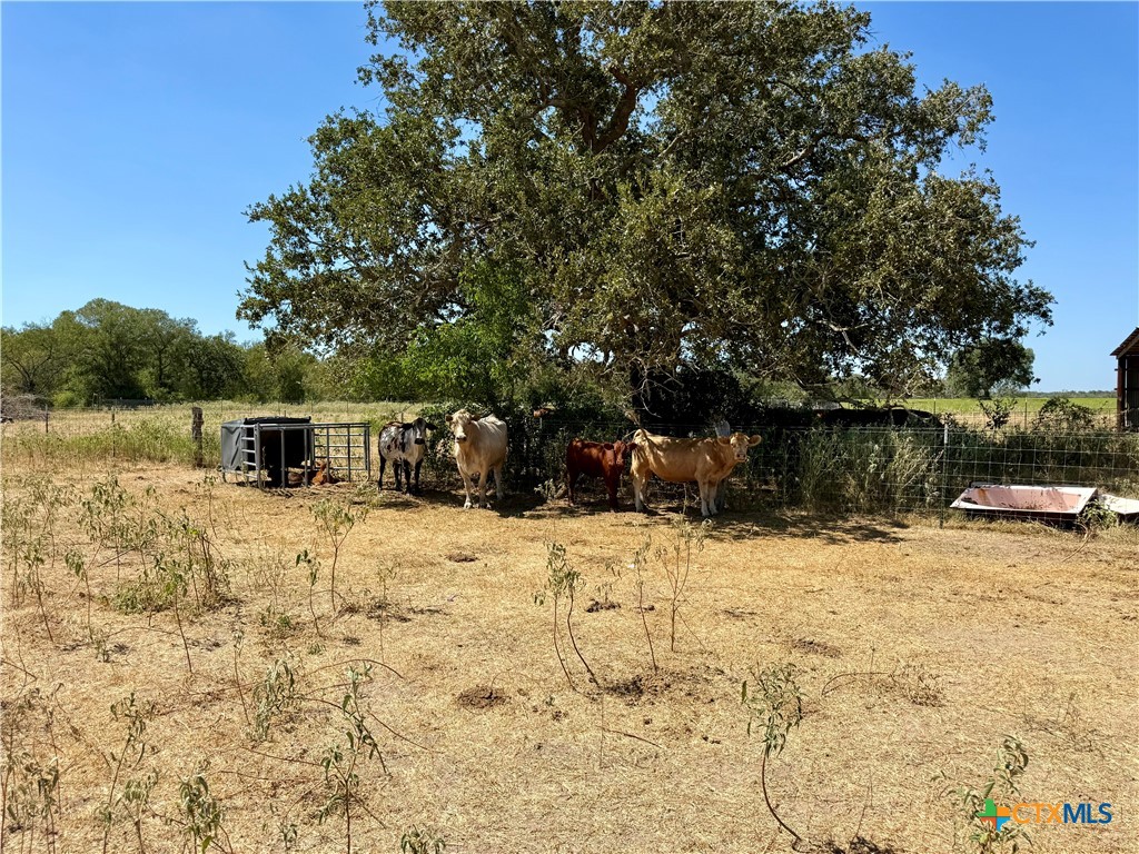 main property photo 26