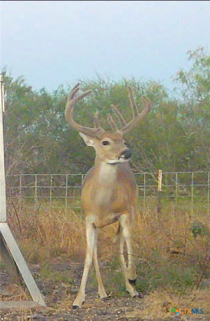 main property photo 23