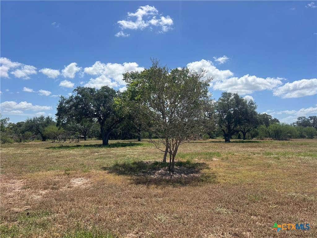 main property photo 9