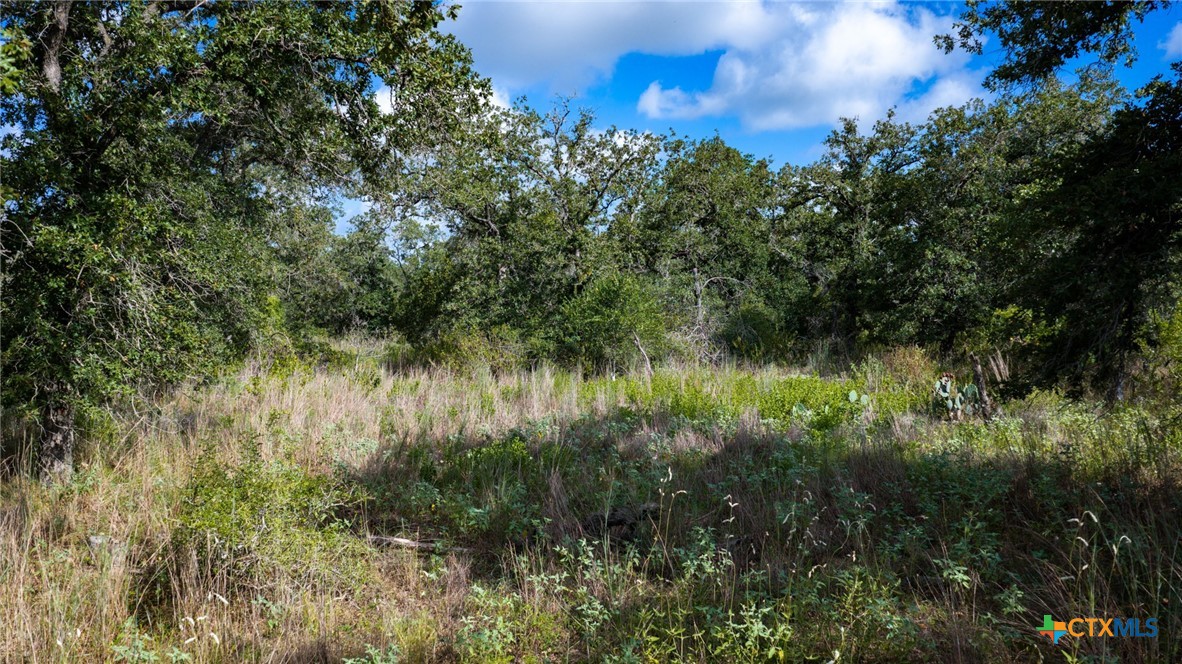 main property photo 27
