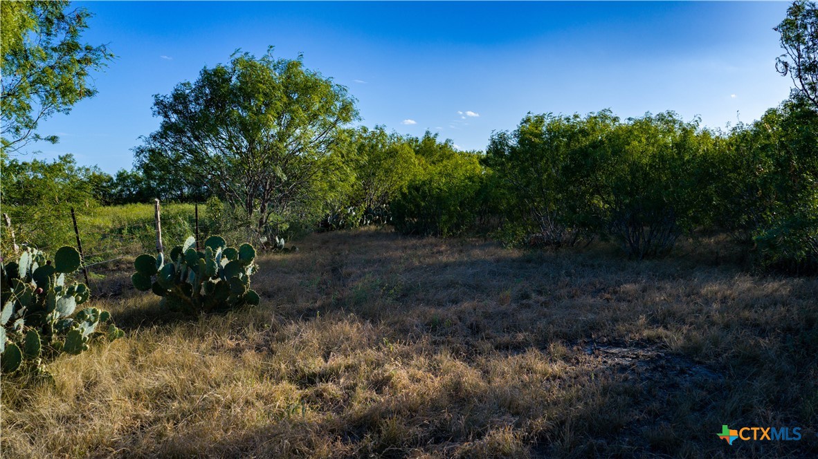 main property photo 19