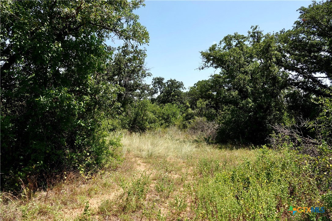 main property photo 18