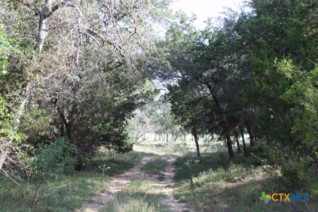 main property photo 37