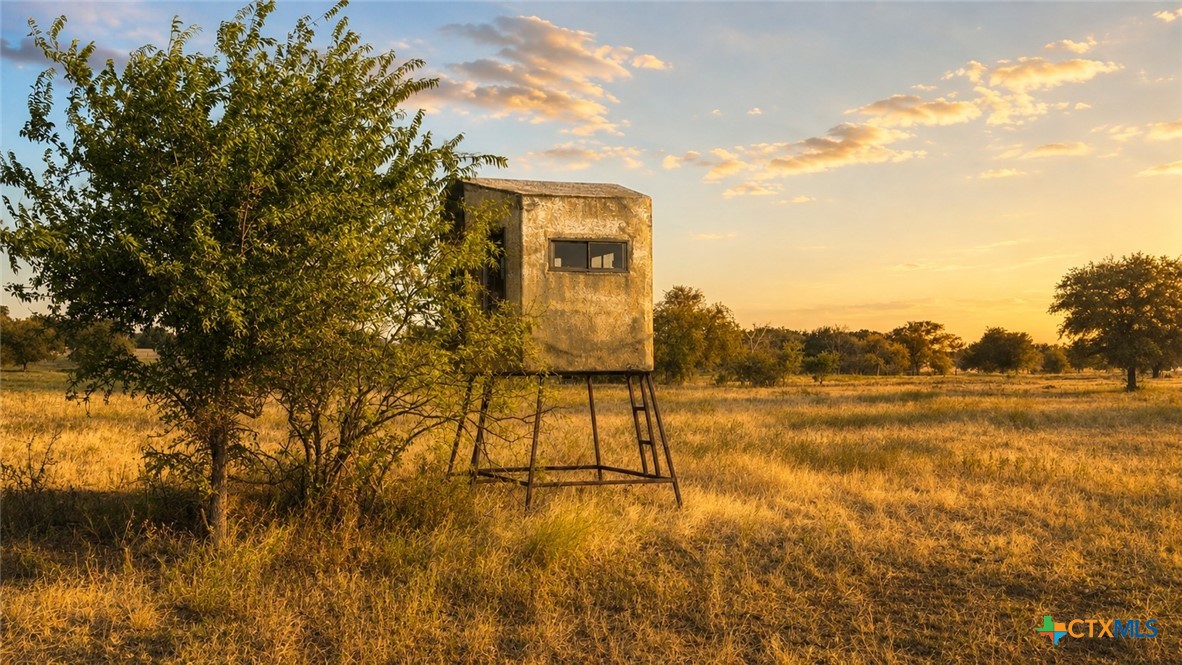 main property photo 39