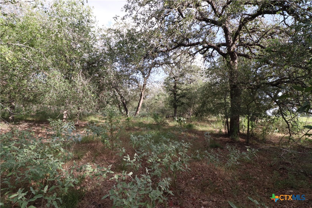 main property photo 10