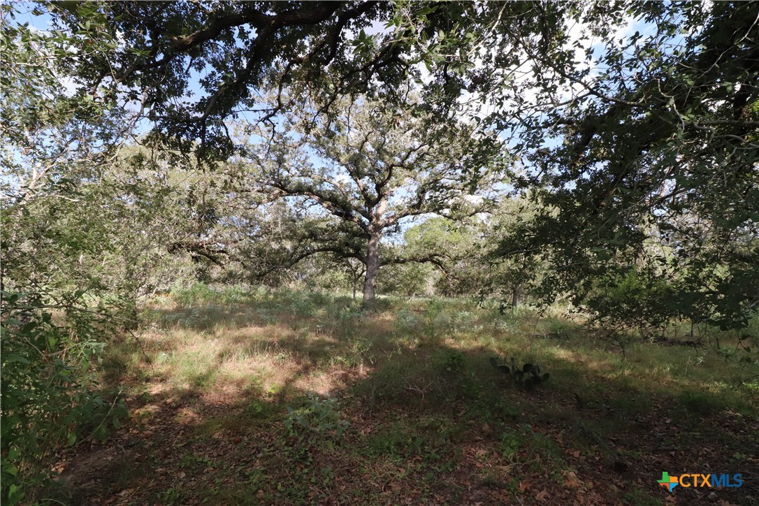 main property photo 11