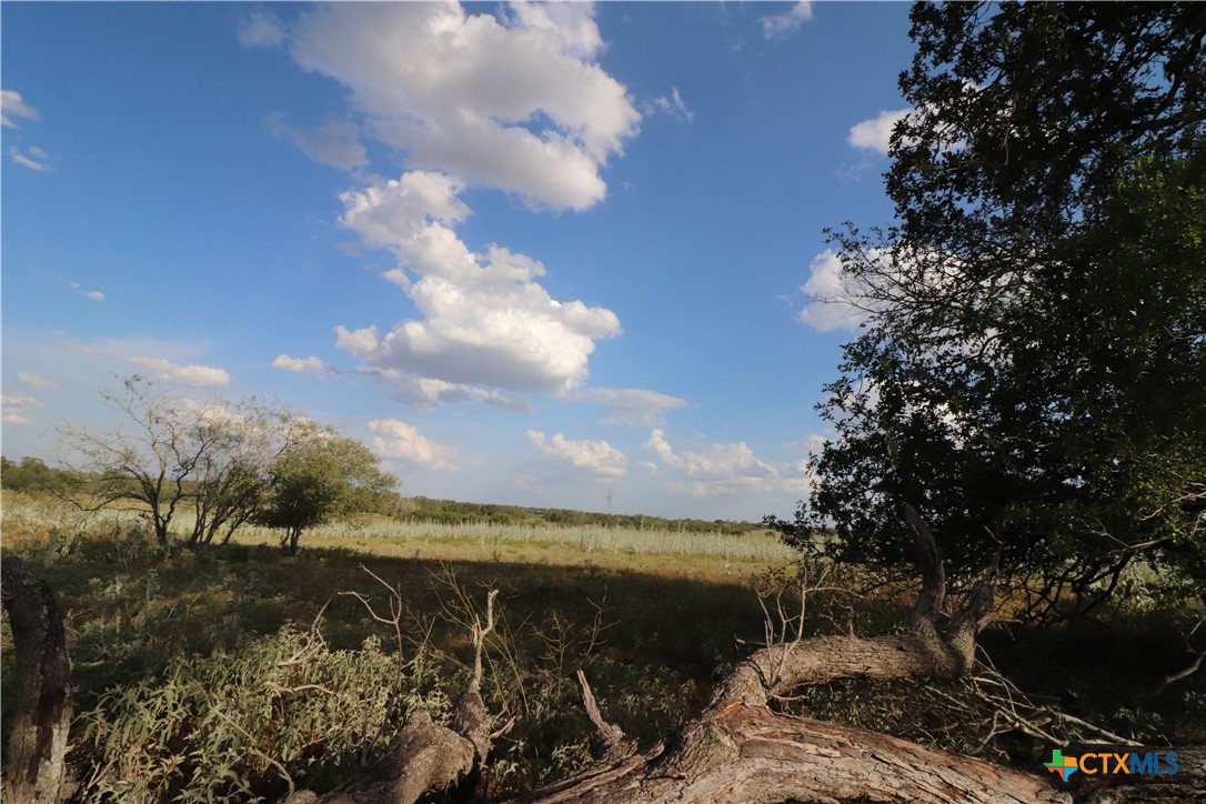 main property photo 16
