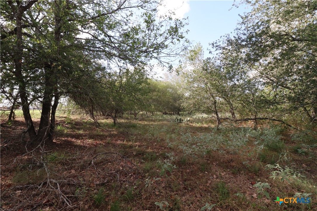 main property photo 9