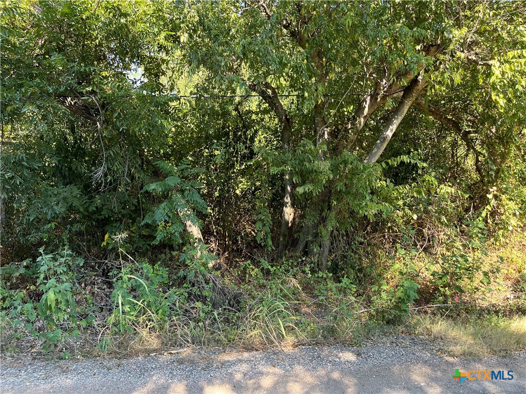 main property photo 6