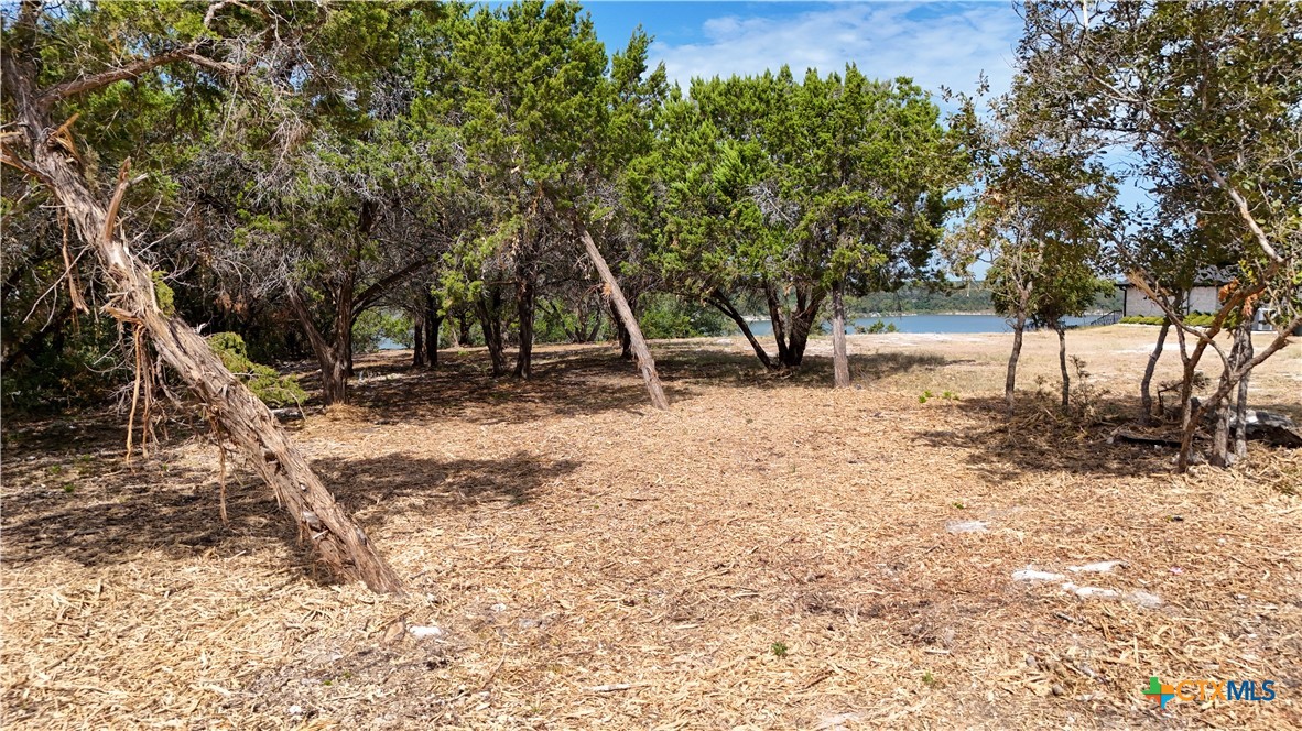 main property photo 11