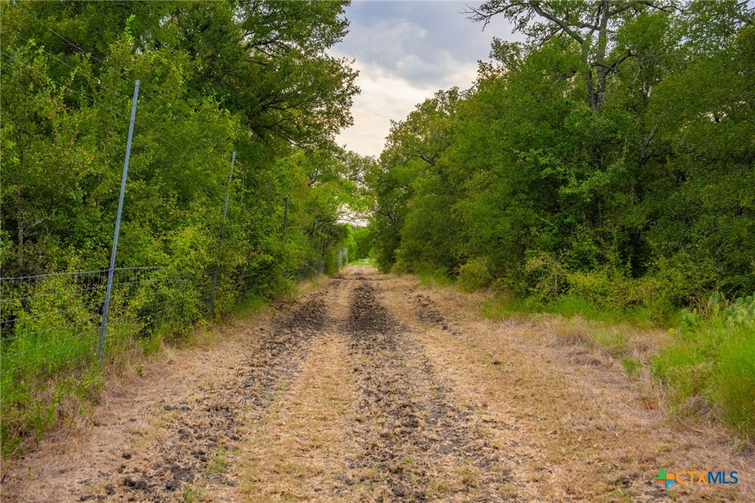 main property photo 26