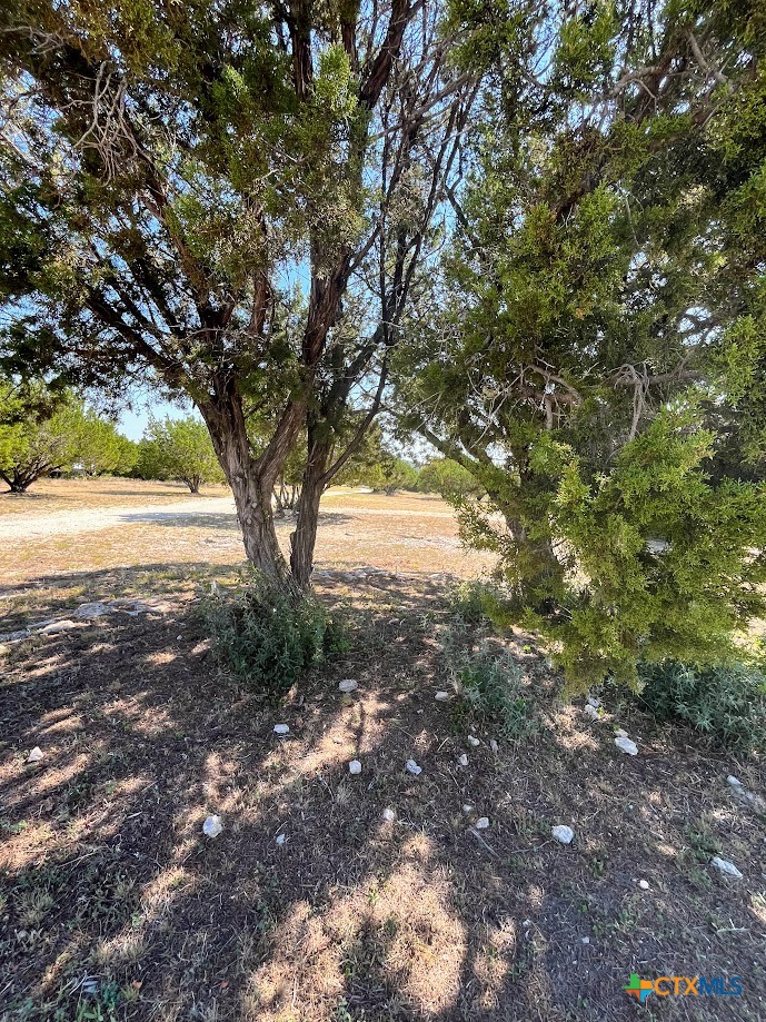 main property photo 11