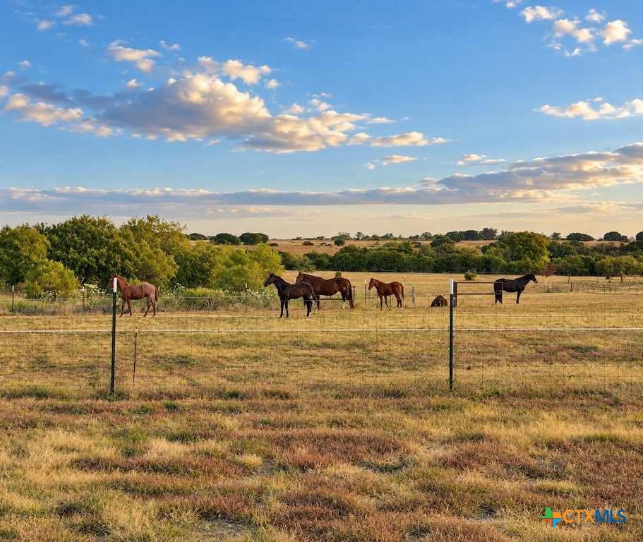 main property photo 45
