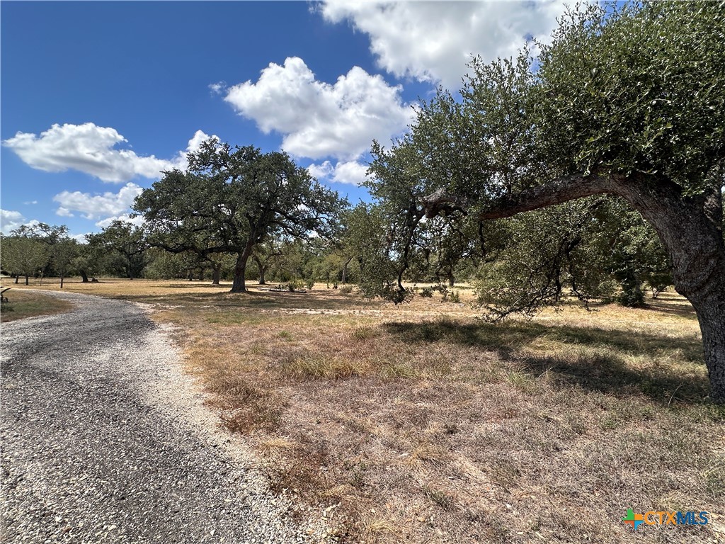 main property photo 37