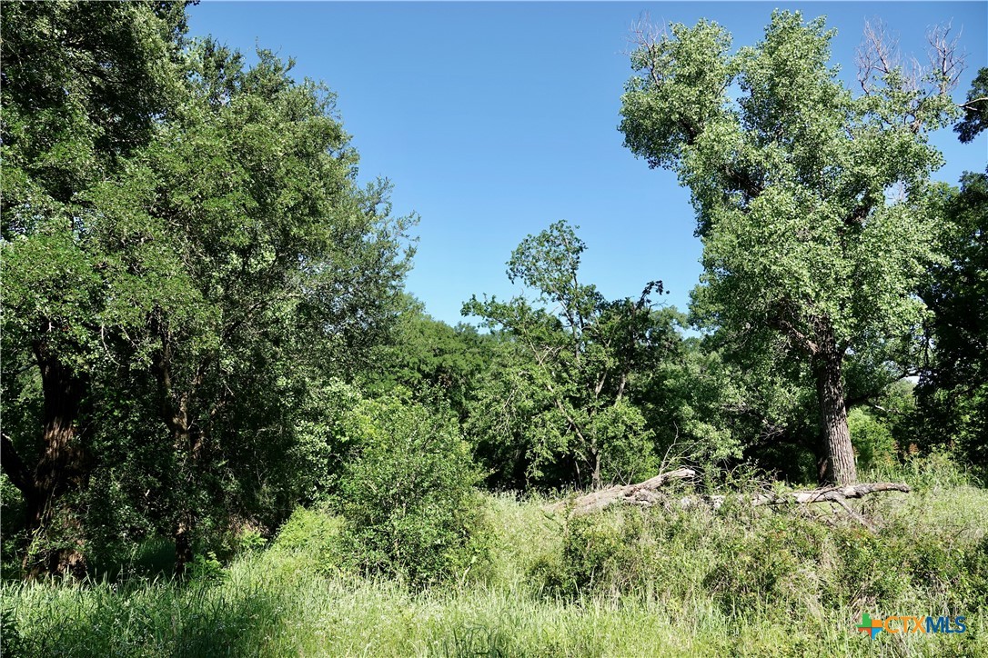 main property photo 25