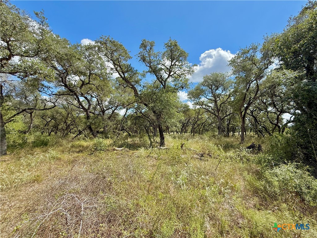 main property photo 10