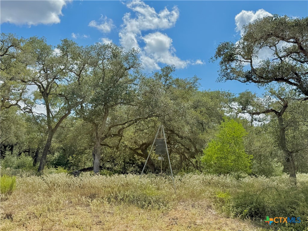 main property photo 11