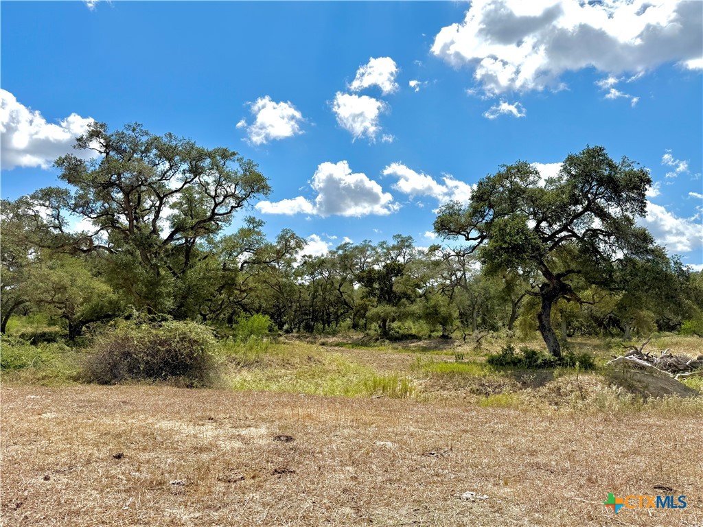main property photo 16