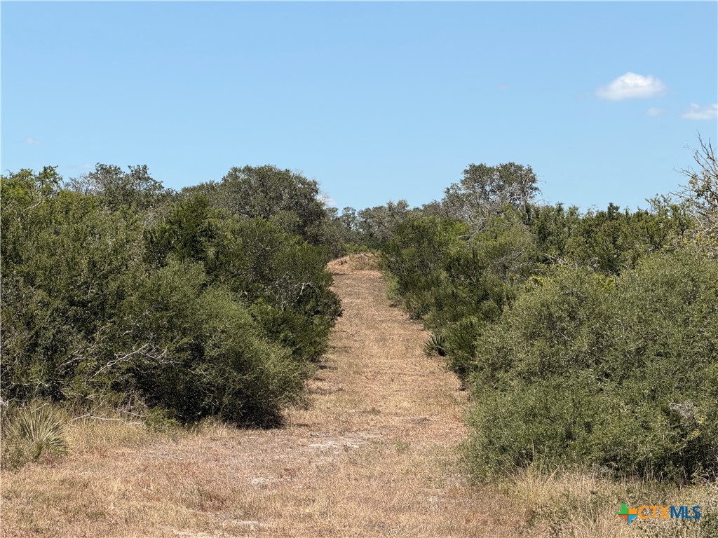main property photo 19