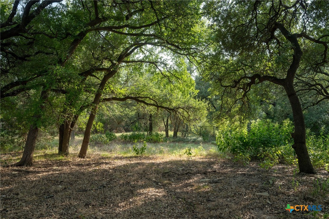 main property photo 38