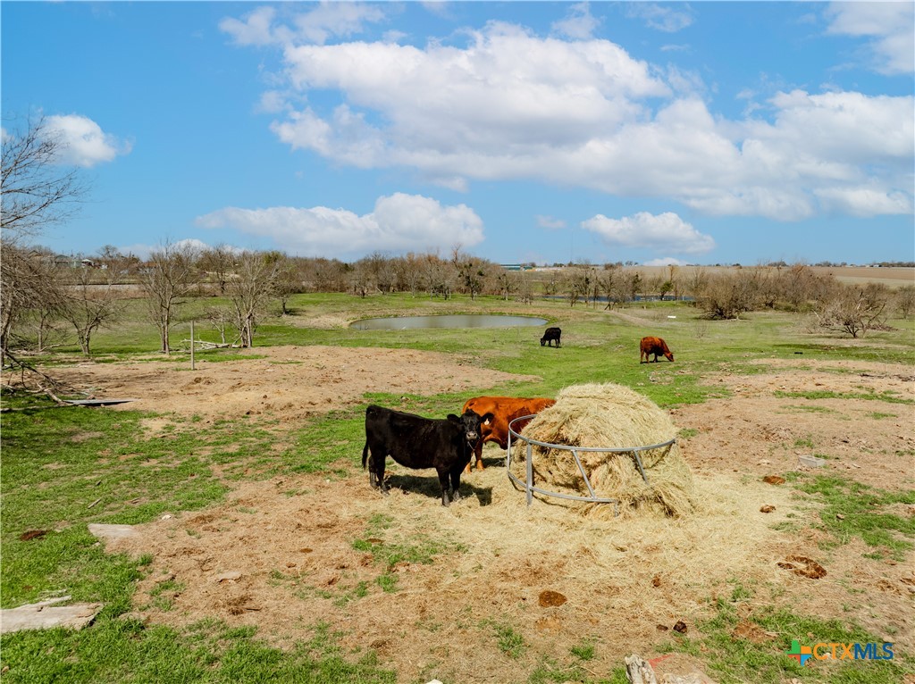 main property photo 25