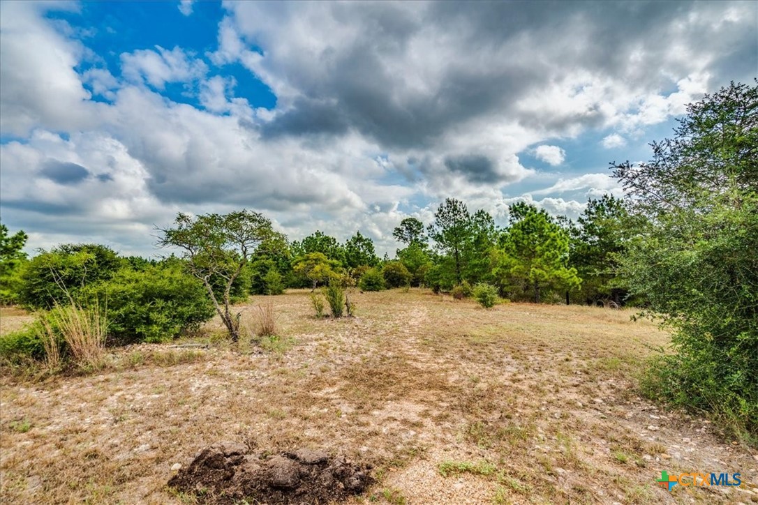 main property photo 43
