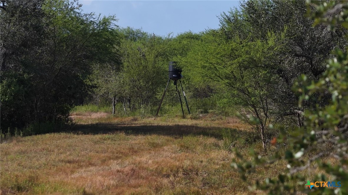 main property photo 16